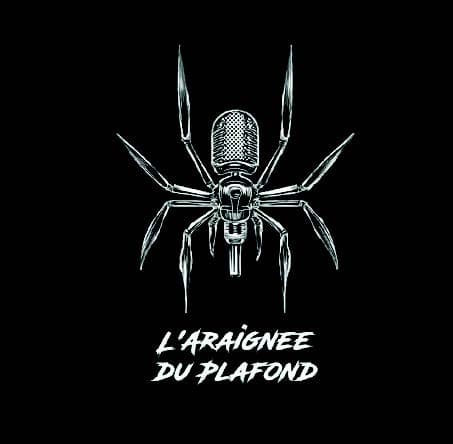 L’Araignée du plafond